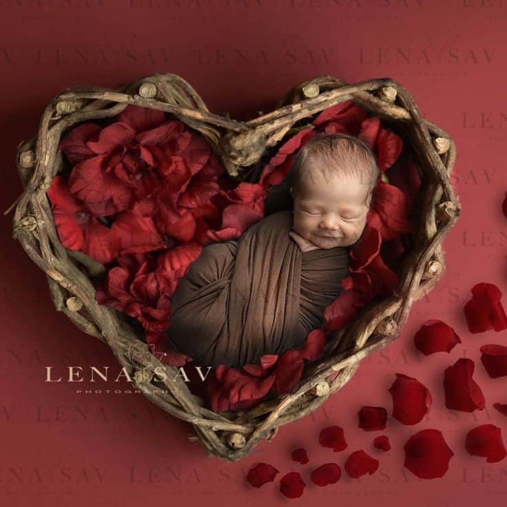 Swaddled newborn sleeping in heart shaped basket filled with red flowers - Baby's First Valentine's Day Photo shoot