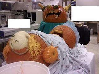 pumpkins giving birth