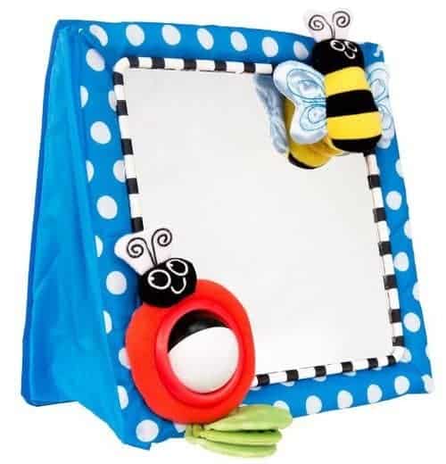 Christmas presents for infants: Sassy Mirror