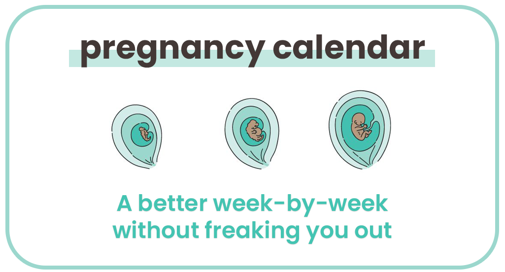 Pregnancy Calendar